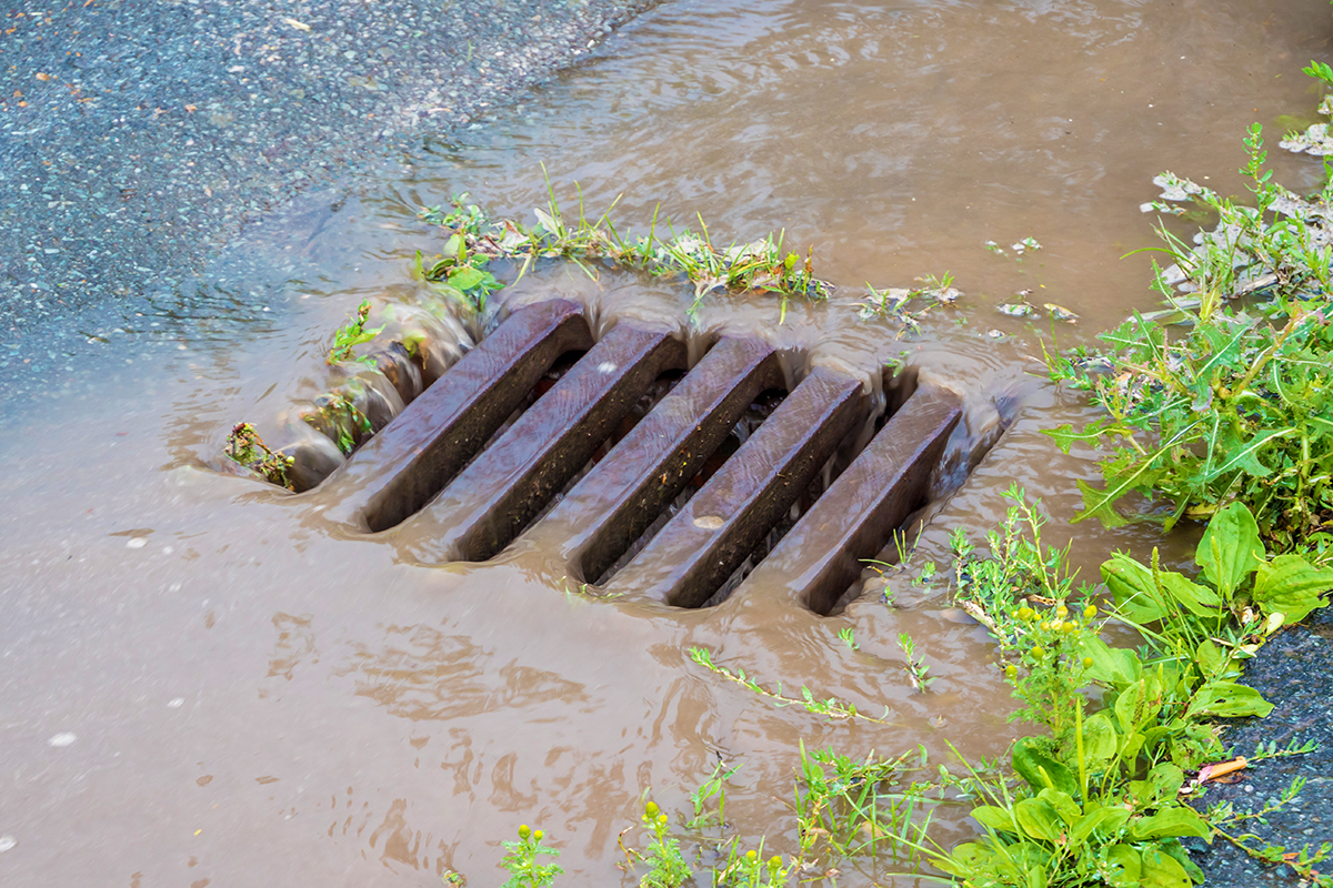 Regen- und Oberflächenwasser fließt in einen Straßenablauf des Kanalnetzes.